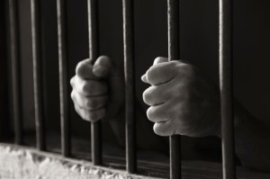 Bail Revocation