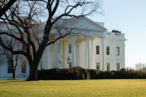 Call for Stricter Immigration Policies