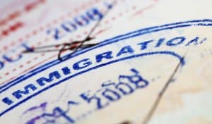 Immigration with Trump Being Elected